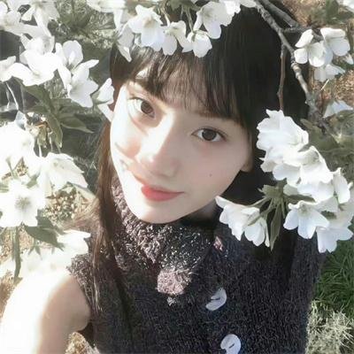 水果篮子第一季